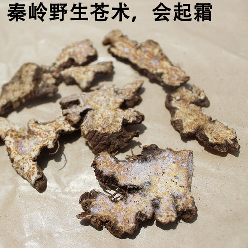 秦岭野生会起霜苍术气味浓