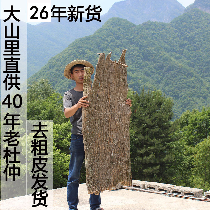 26年新货秦岭40年老树杜仲皮