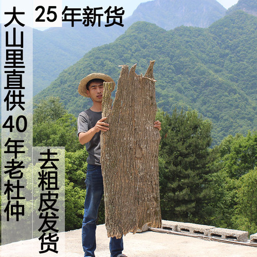 25年新货秦岭40年老树杜仲皮