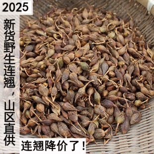 2025年新货连翘秦岭 野生连翘中药材 青翘 老翘 连壳500克包邮