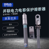 熔断器BR2 50P 智广电力电容器专用高压熔断器喷射式 24A 100A