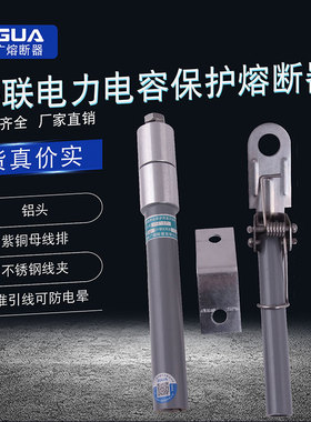 智广电力电容器专用高压熔断器喷射式熔断器BR2-10/50P-24A-100A