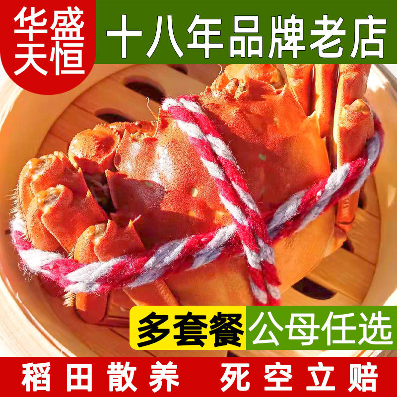 盘锦河蟹全母 多规格 湿地大闸蟹稻田螃鲜活蟹现货礼盒顺丰包邮