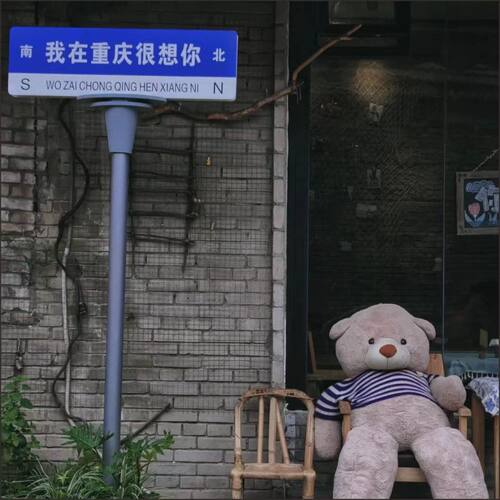 网红打卡地拍照牌路名牌街道牌