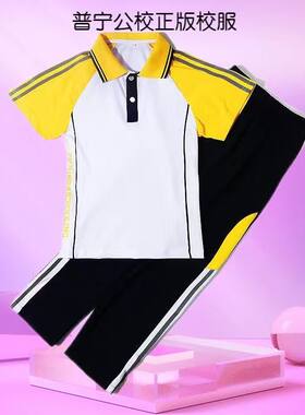 只接定制男女T恤套装表演服公校正版校服袖POLO衫运动裤2件学生服