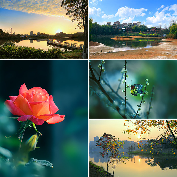 ������Ƭ/������Ӱ������ͼ��ɫ/������ż��ż�ְ���Ƭת����ʵ��