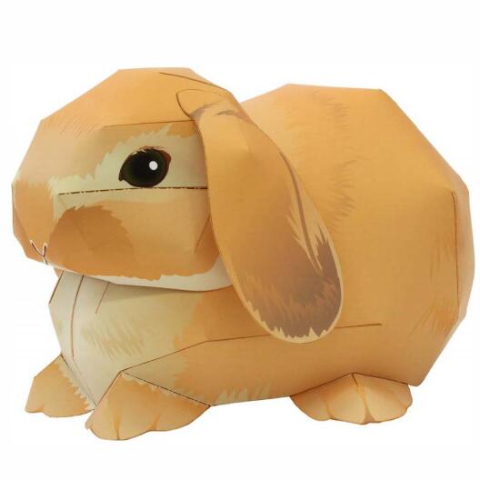 儿童手工制作动物3D立体兔子模型