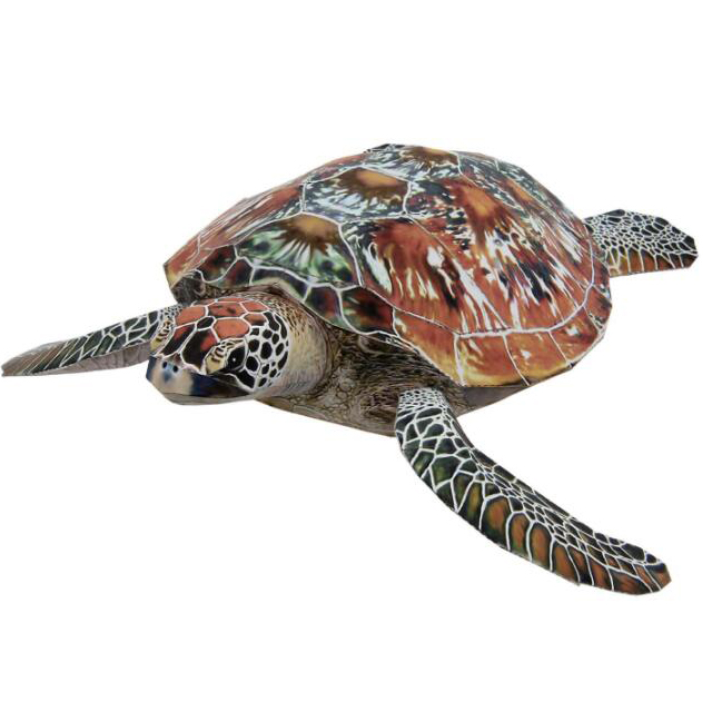 手工制作海洋生物大海龟纸质模型