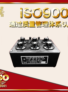 30多年老厂国标电阻箱ZX21a/b/c/d/e/f/g直流标准可调可定制实验
