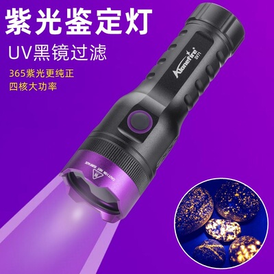 20W大功率黑镜紫外线检测UV灯