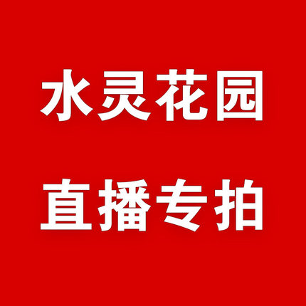 直播专拍 水灵花园