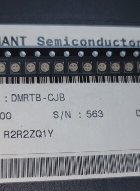 DMRTB-CJB 08+ R2R2ZQ1Y 原装现货