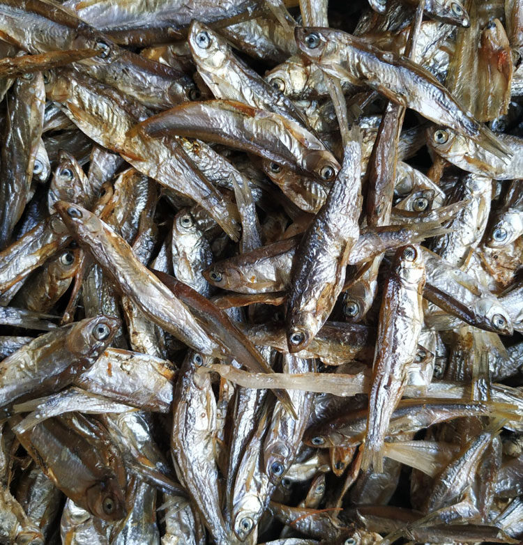 零食肉条猫咪小鱼干 磨牙淡水鱼补钙猫吃新鲜纯天然幼猫猫粮500g