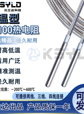 高品质耐高温热电阻600度PT100温度传感器WZP035感温线铂金电阻