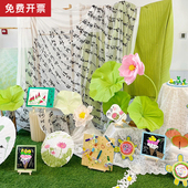 国风古风新中式 饰幼儿园环创文字纱摄影拍照氛围感背景布 书法纱装