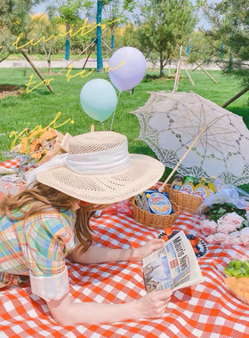 春游防潮垫野餐布ins风拍照背景格子加厚户外郊游便携地垫子地摊