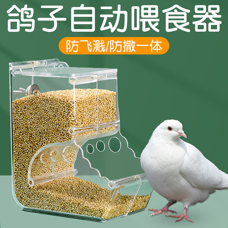 鸽子自动喂食器大容量新款信鸽专用食盒内挂自动下料器防撒溅防甩