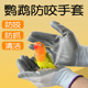 鹦鹉防咬手套防抓伤防滑训练玩耍把玩喂养抓捕专用防止咬人鸟用品