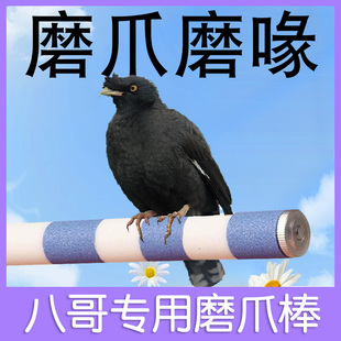 饰造景磨嘴器小鸟啃咬解闷站棍 八哥磨爪棒专用站杆磨砂鸟笼玩具装