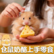 金丝熊仓鼠 食物和小零食粮食专用磨牙棒可食用补充营养上手冻干