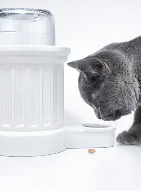 陶瓷防湿下巴加菲猫兔子小口喝水不插电自动续水大象饮水器升级版