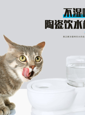 陶瓷玻璃不湿嘴加菲扁长毛下巴