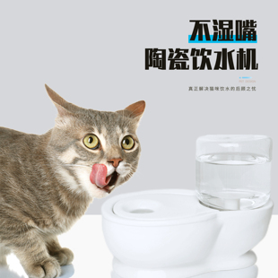 陶瓷玻璃不湿嘴加菲扁脸长毛猫不湿下巴不插电兔子喝水马桶饮水器