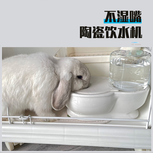 陶瓷马桶小口饮水玻璃瓶加菲防湿毛发不插电自动续水兔子喝水碗