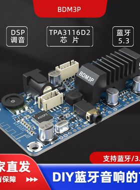 BDM3P蓝牙5.3功放TPA3116立体声2X50W便携音箱电动车音箱DSP调音