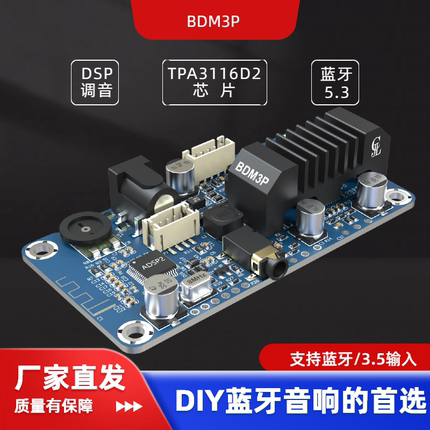 BDM3P蓝牙5.3功放TPA3116立体声2X50W便携音箱电动车音箱DSP调音