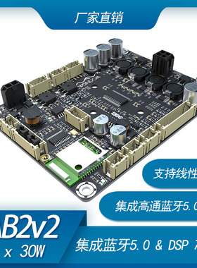 2 x 30W D类音频功率放大器带DSP信号处理蓝牙5.0功放板 TPA3118