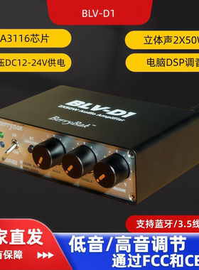 BerryBak数字功放立体声快充供电