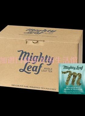 包邮加拿大Mighty leaf美泰Marrakesh Mint马拉喀什薄荷茶100包