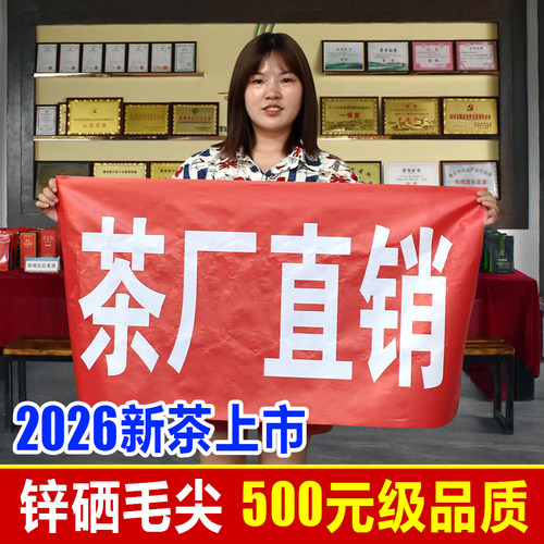 都匀毛尖贵州新茶全芽高山云雾茶