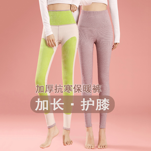 护腰护膝高弹力加厚衬裤 加绒保暖裤 打底裤 女冬季 内穿高腰德绒秋裤