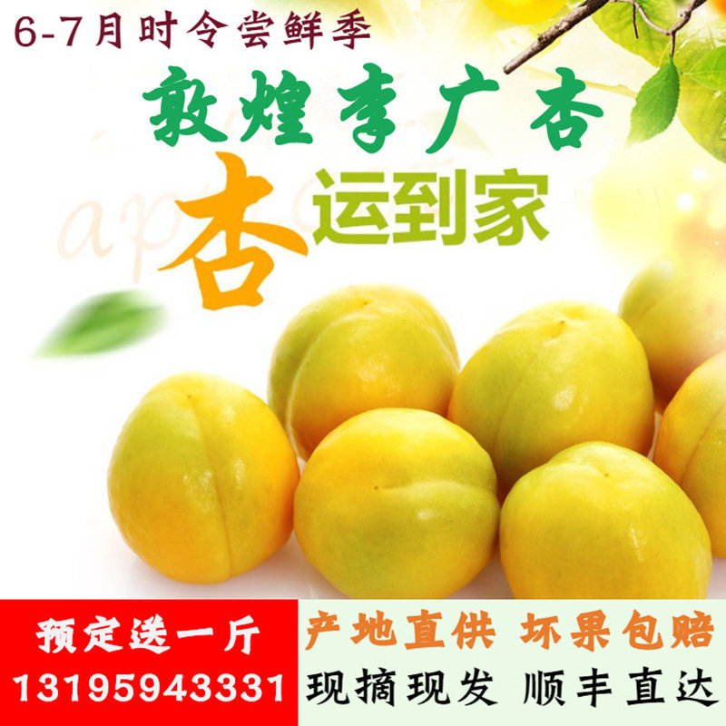正宗新鲜杏子敦煌李广杏8斤时令水果营养丰富无公害果园直发顺丰,水产肉类/新鲜蔬果/熟食,其它,淘宝优惠券,粉丝福利购,淘宝优惠卷