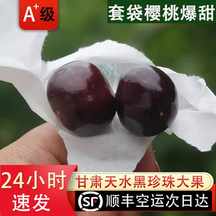 甘肃天水套袋大樱桃黑珍珠车厘子新鲜水果顺丰包邮