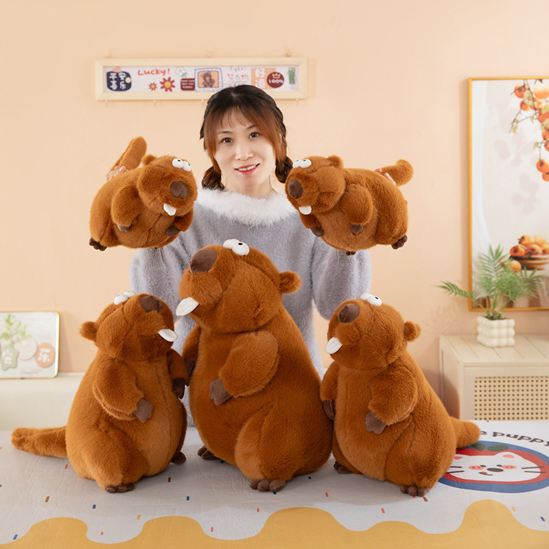 土拨鼠丹毛绒玩具可爱公仔睡觉抱枕女孩小玩偶布娃娃生日礼物男孩,玩具/童车/益智/积木/模型,毛绒/玩偶/公仔/布艺类玩具,淘宝优惠券,粉丝福利购,淘宝优惠卷