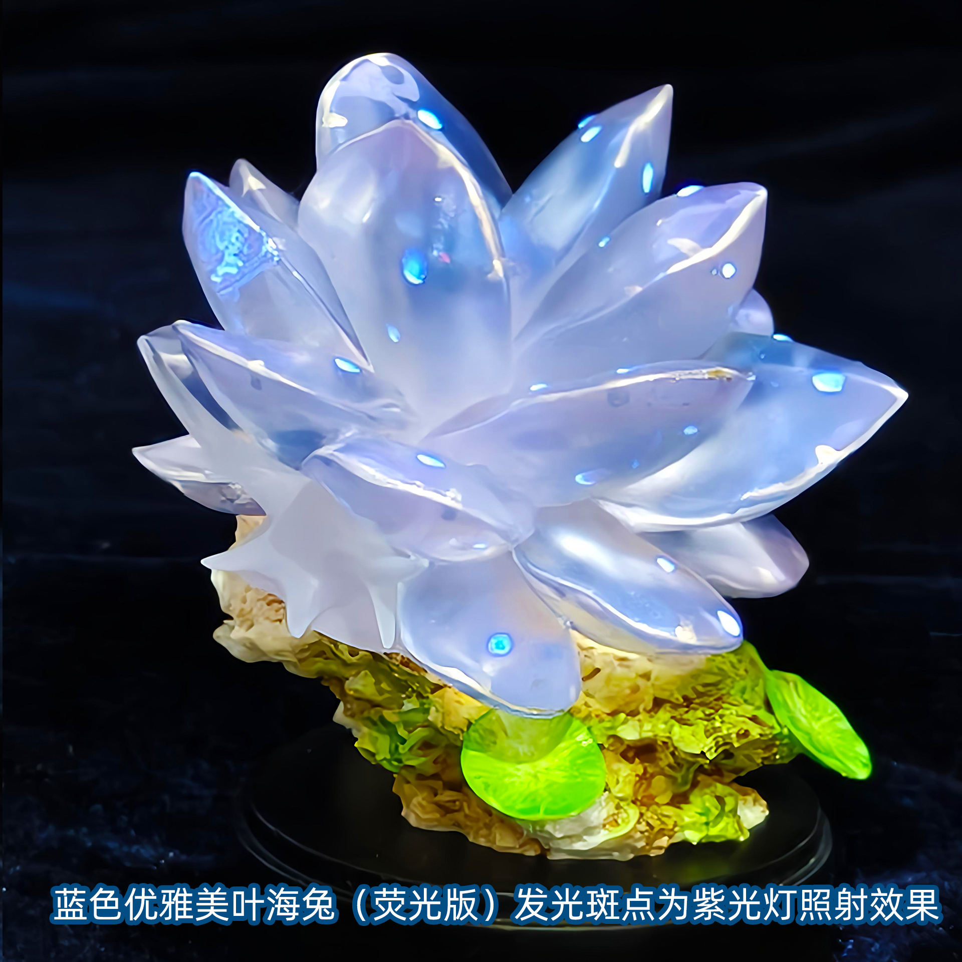 WF2025限定大肚子手作海洋精灵蓝美叶荧光版潜水手办礼物仿真模型