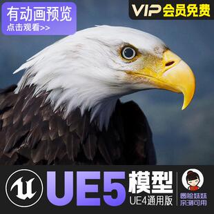 UE4虚幻5_秃头金鹰动画模型Animalia - Bald and Golden Eagle