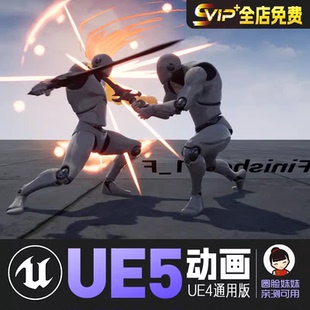 残忍的剑术终结者UE4虚幻5动画动作资产Cruel Sword Finisher Set