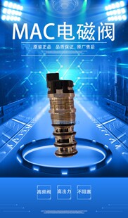 BV314A-CD1-00-BCKA-CTA 12V 4W 美国MAC子弹阀原装正品件现货