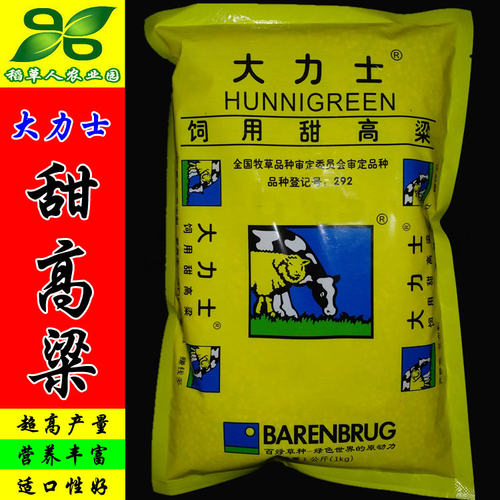 大力士甜高粱种子 正宗荷兰百绿集团进口牛羊鱼青贮 饲用牧草种籽 - 封面