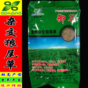 美洲杂交狼尾草种子 御谷种籽 畜禽牧草籽猪牛羊鸡鸭鹅