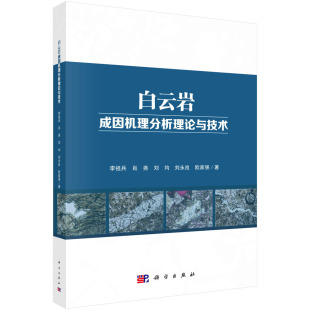 白云岩成因机理分析理论与技术 社 李祖兵科学出版