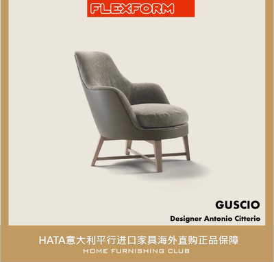 Flexform现代现代意大利扶手椅