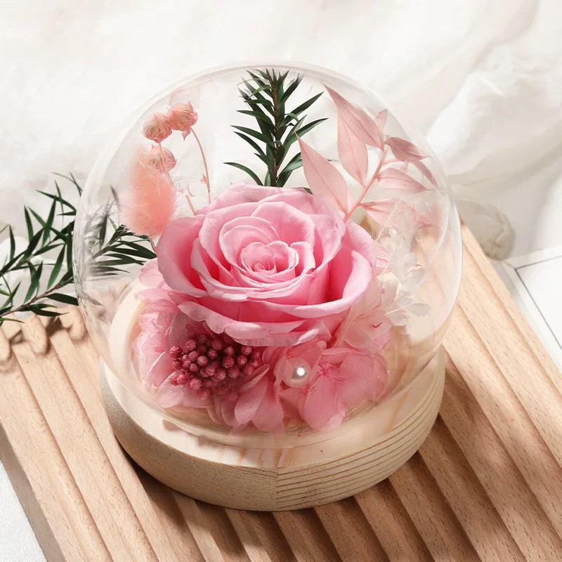 永生花玻璃罩DIY材料七夕情人装饰摆件