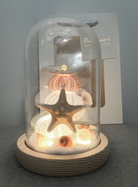 海南青岛文创海胆充电小夜灯北海贝壳手工艺品北海三亚旅游纪念品