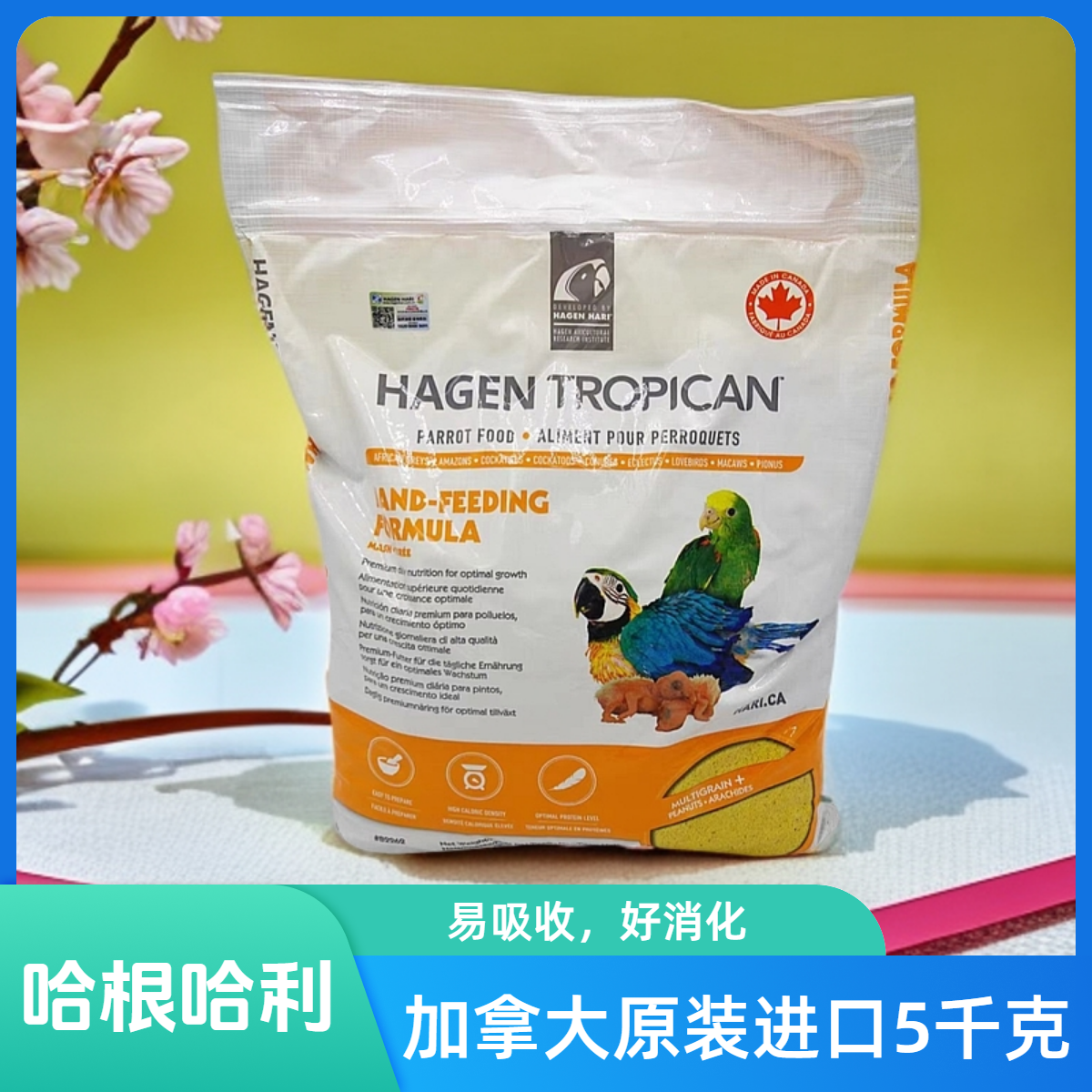 哈根哈利鹦鹉幼鸟雏鸟奶粉全高营养易消化手喂养,宠物/宠物食品及用品,鸟食,淘宝优惠券,粉丝福利购,淘宝优惠卷