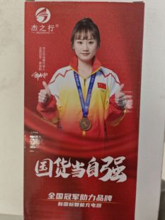 杰之行通用插头48V60V72V 圣宝龙电动车充电器电瓶车充电器非原装